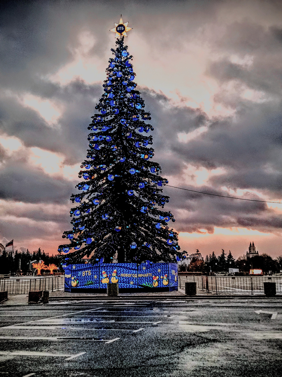 Елка на парке Победы. Все фото: канал "Сергей Насекайло. Заметки инвалида по зрению".