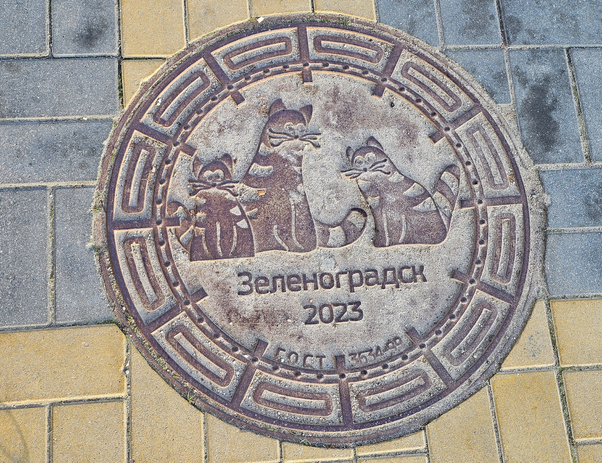 Зеленоградск, фото автора