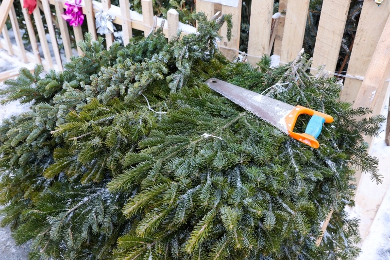     Тематическое фото. Фото: ИА OmskMedia