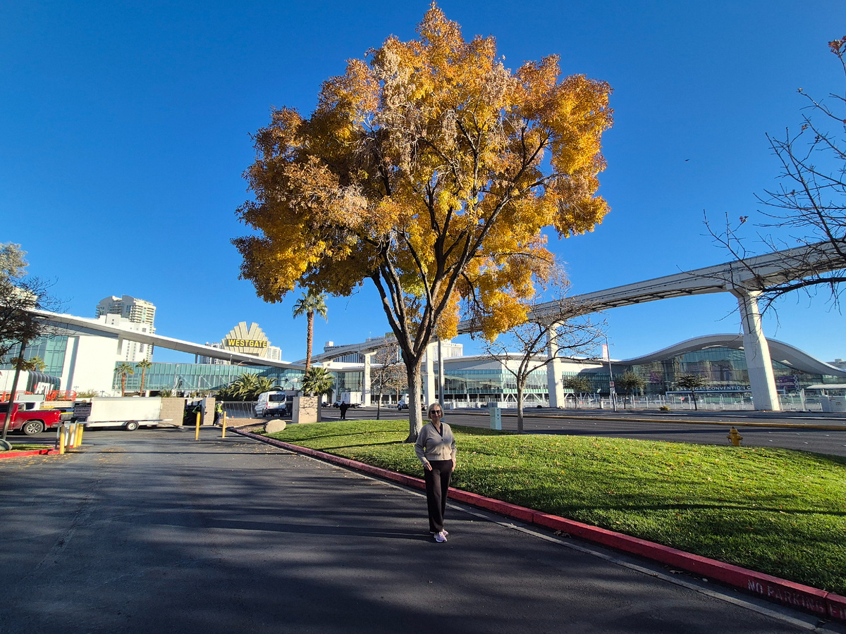 вышли из отеля, 16.12.2025, Лас-Вегас 