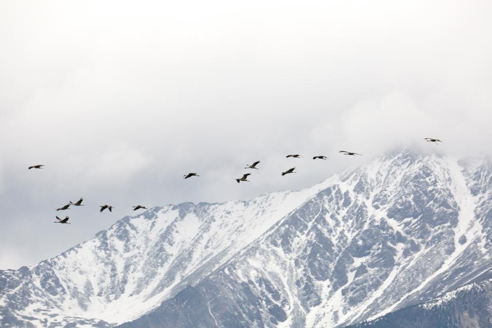 © Из архива Тункинского национального парка