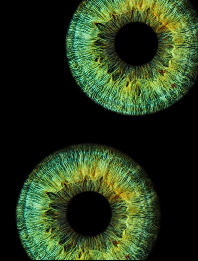 из открытого источника