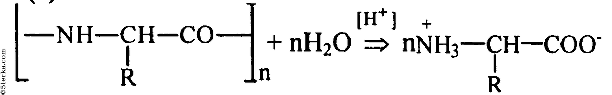 Процесс гидролиза