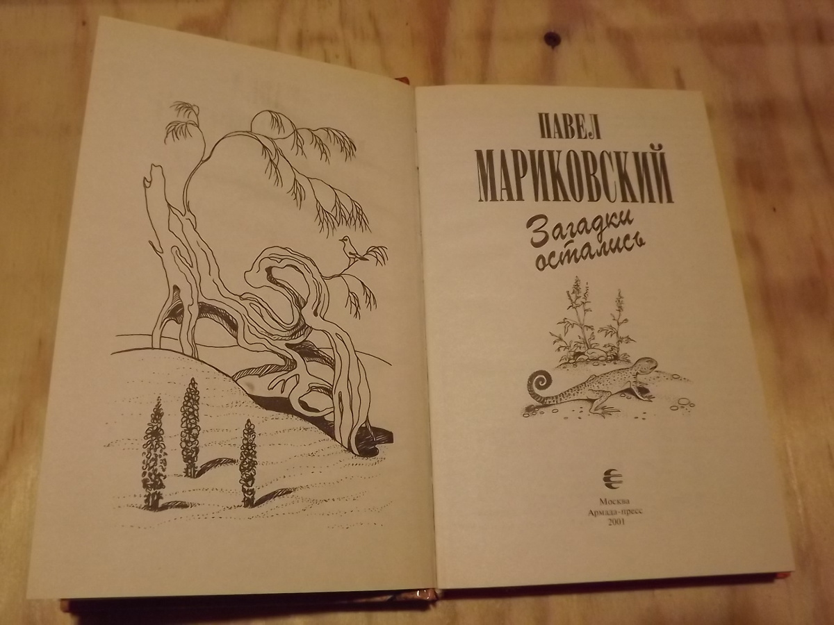 Разворот, Москва, Аркада-пресс, 2001, Художник — О.А. Келейникова