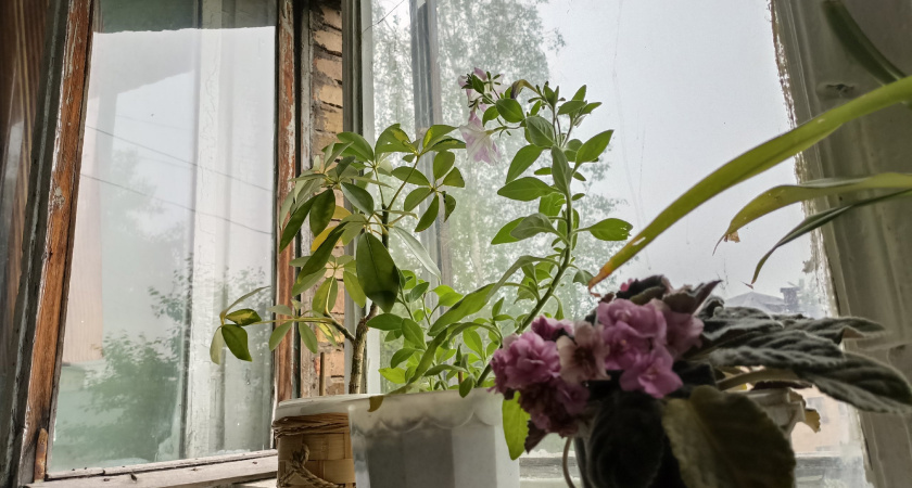    Фото из архива "Про Города"