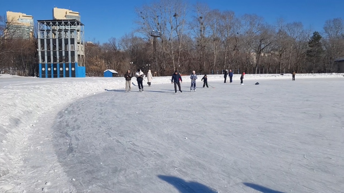 На катке «Динамо» в феврале. Фото автора канала