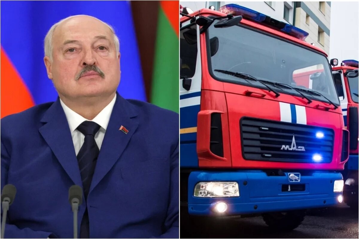    На совещании Совбеза Лукашенко заявил: «Верните нам 17 автомобилей, которые вы украли. Пожарные автомобили, которые поставляли в Зимбабве».