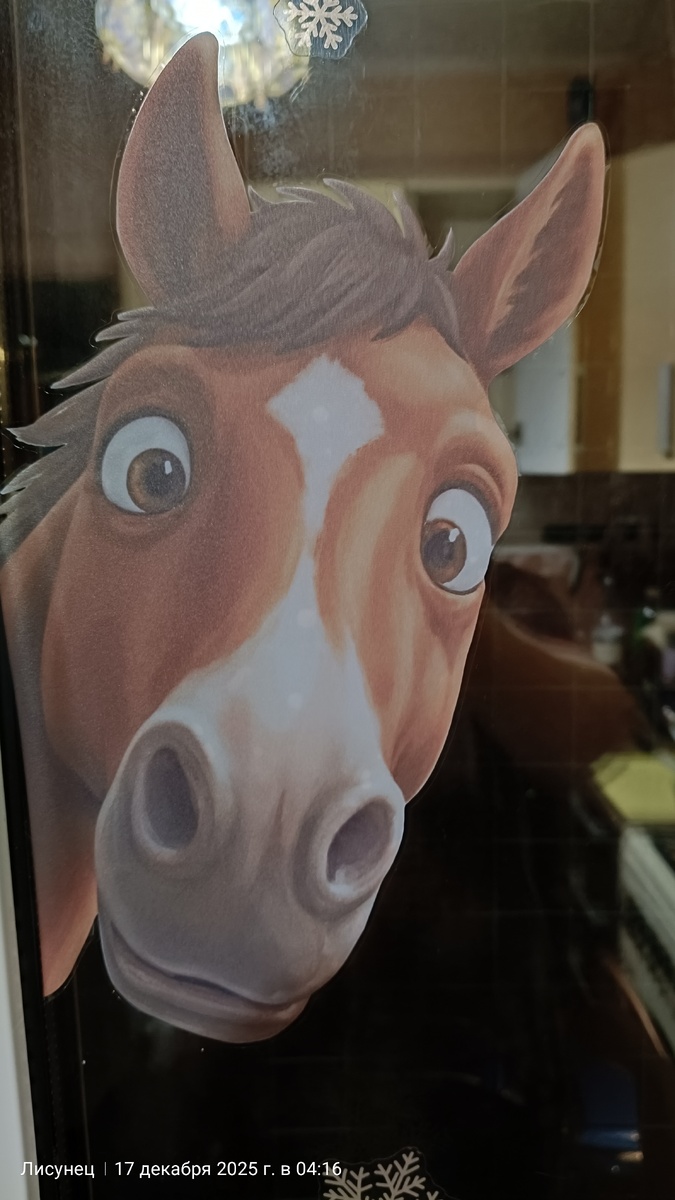 Новый житель на моем окне.фото автора.