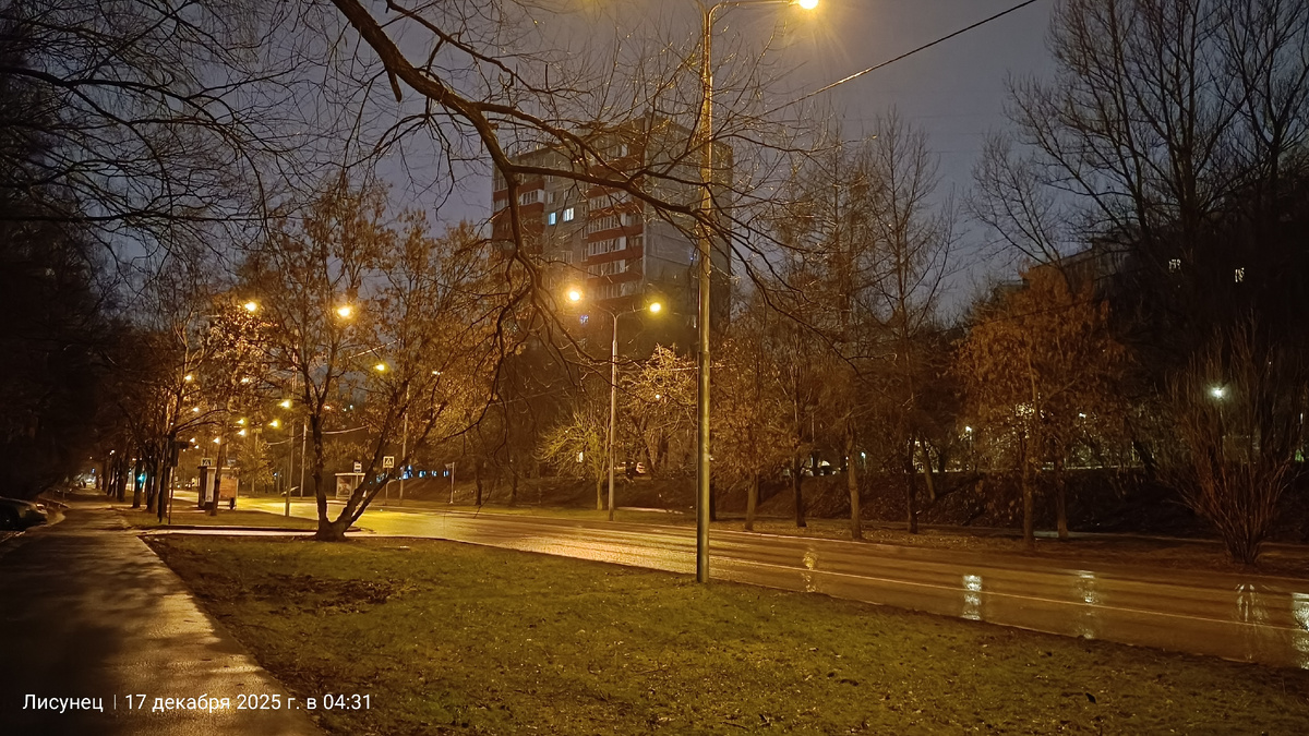 Снег растаял.Фото автора 