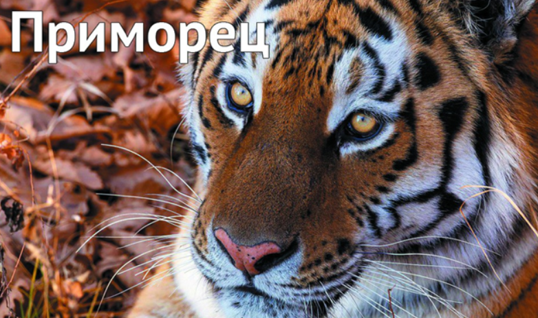    Источник фото: