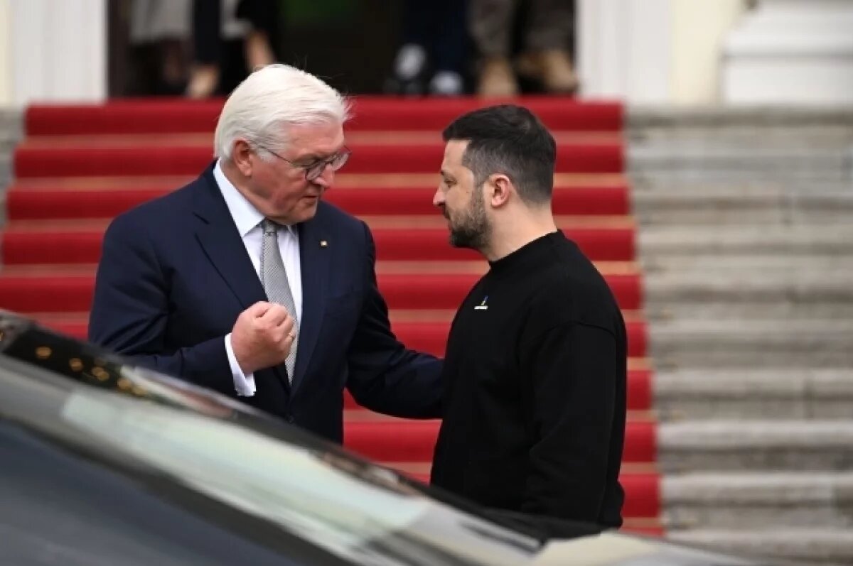    Царев: Штайнмайер мог посоветовать Зеленскому продолжить конфликт