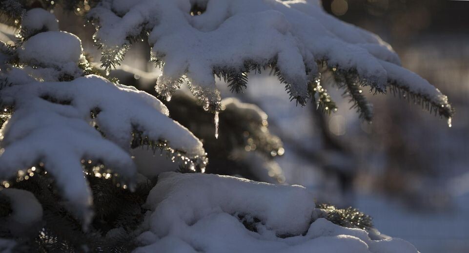   Nikolay Gyngazov / www.globallookpress.com