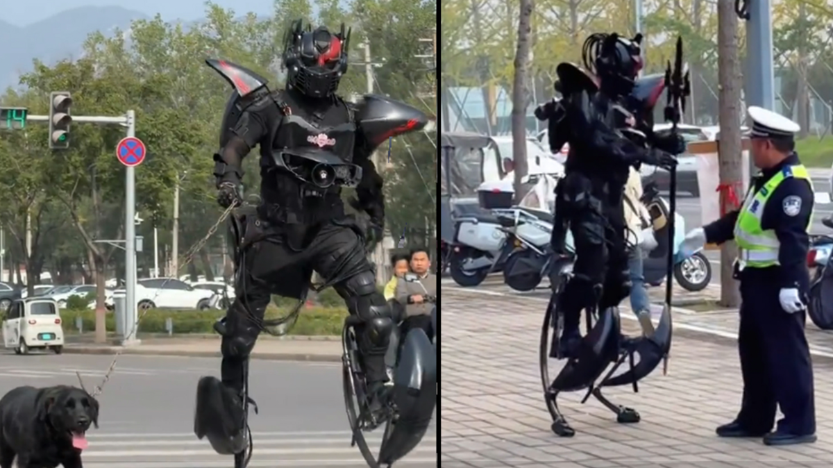 У него есть стильная черная собка