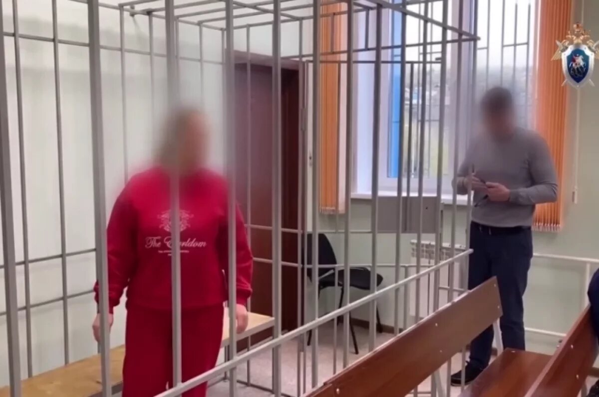    СК завершил расследование дела против журналистки из Красноярска