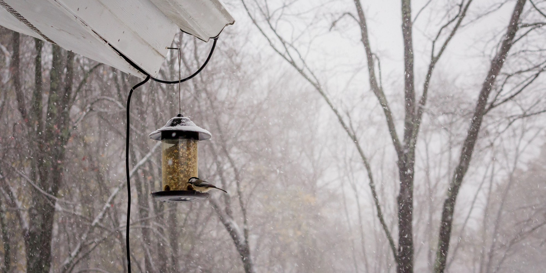 Что нельзя делать 18 декабря, иначе ухудшится ситуация с финансами: народные приметы на Саввин день