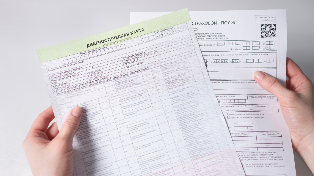    Фото: igorykor/shutterstock