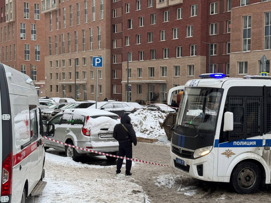    Фото: Сергей Петров/NEWS.ru