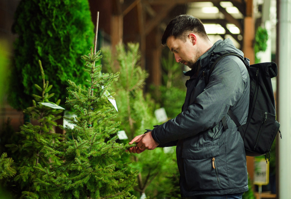    Shutterstock/FOTODOM