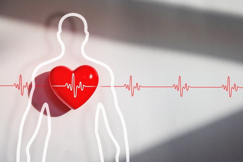    У немалой части пациентов с повышенным давлением его причина… вовсе не кардиологические заболевания. Фото: Good dreams - Studio/Shutterstock/Fotodom