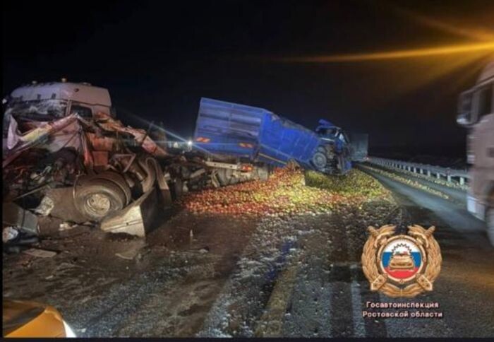 Иллюстрация: Госавтоинспекция Ростовской области