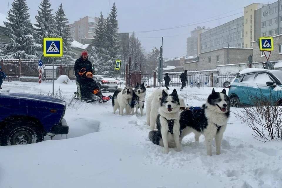 Фото: Сердце Якутии в центре мегаполиса / vk.com / предоставлено для публикации hornews.com cnel.kp.ru