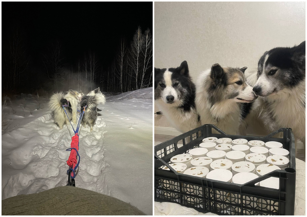 Фото: Сердце Якутии в центре мегаполиса / vk.com / предоставлено для публикации hornews.com cnel.kp.ru