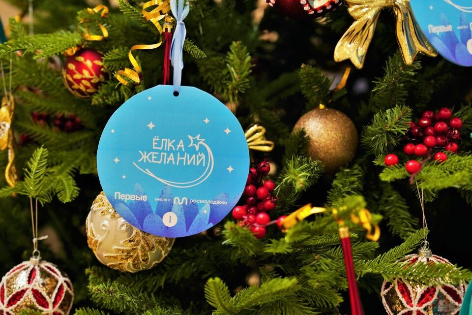    Депутаты БГД участвуют в акции "Ёлка желаний". Источник: barnaul.org