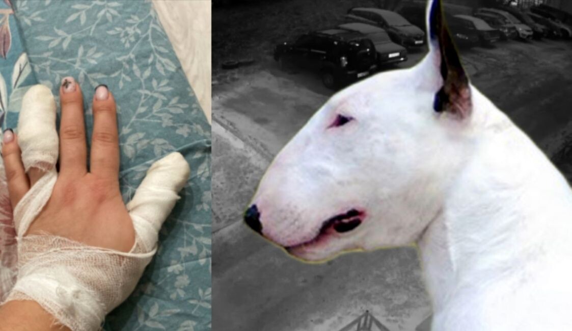    фото: © коллаж Столица на Онего / Подслушано в Питкяранте