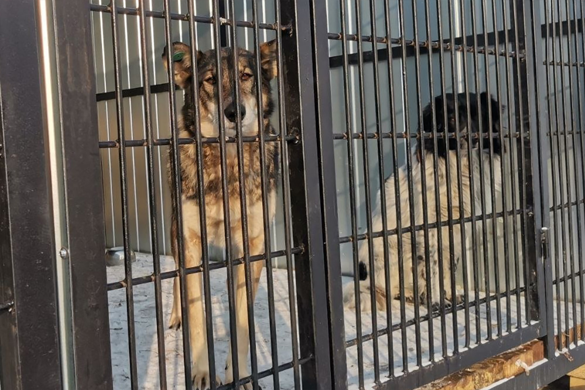    Фото: Мэрия Биробиджана