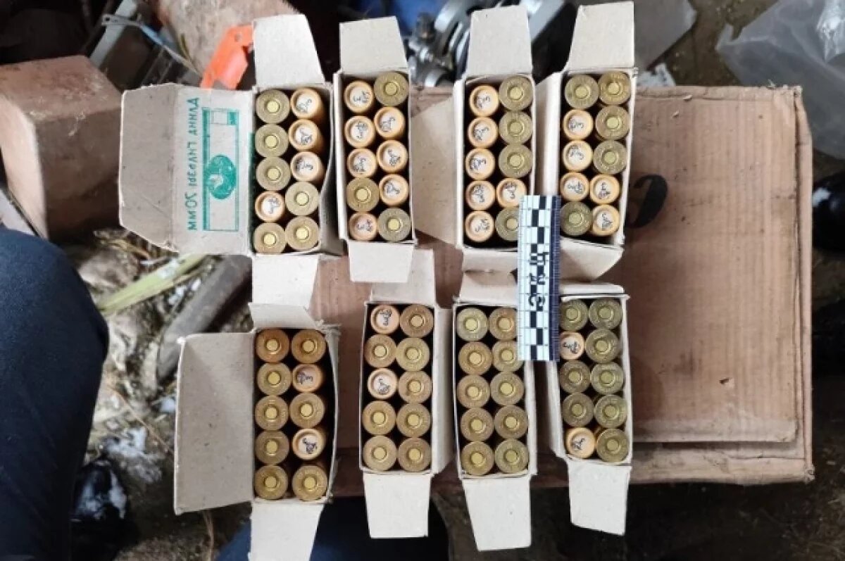    В Хабаровском крае у жителя изъяли крупную партию наркотиков и оружие