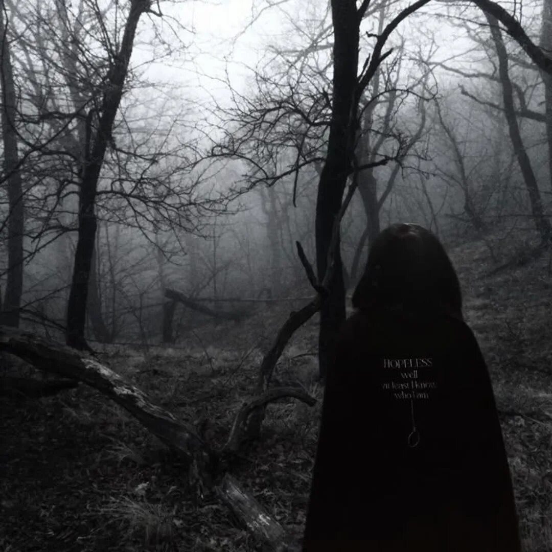 Изображение взято из открытых источников интернета. 