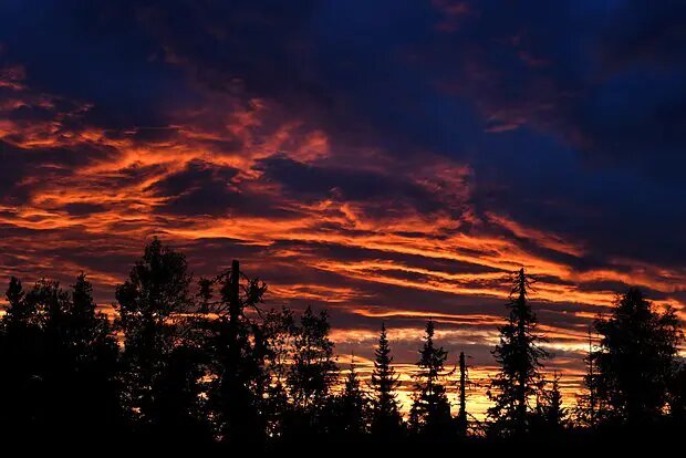    Фото: lenta.ru Мария Михайлова