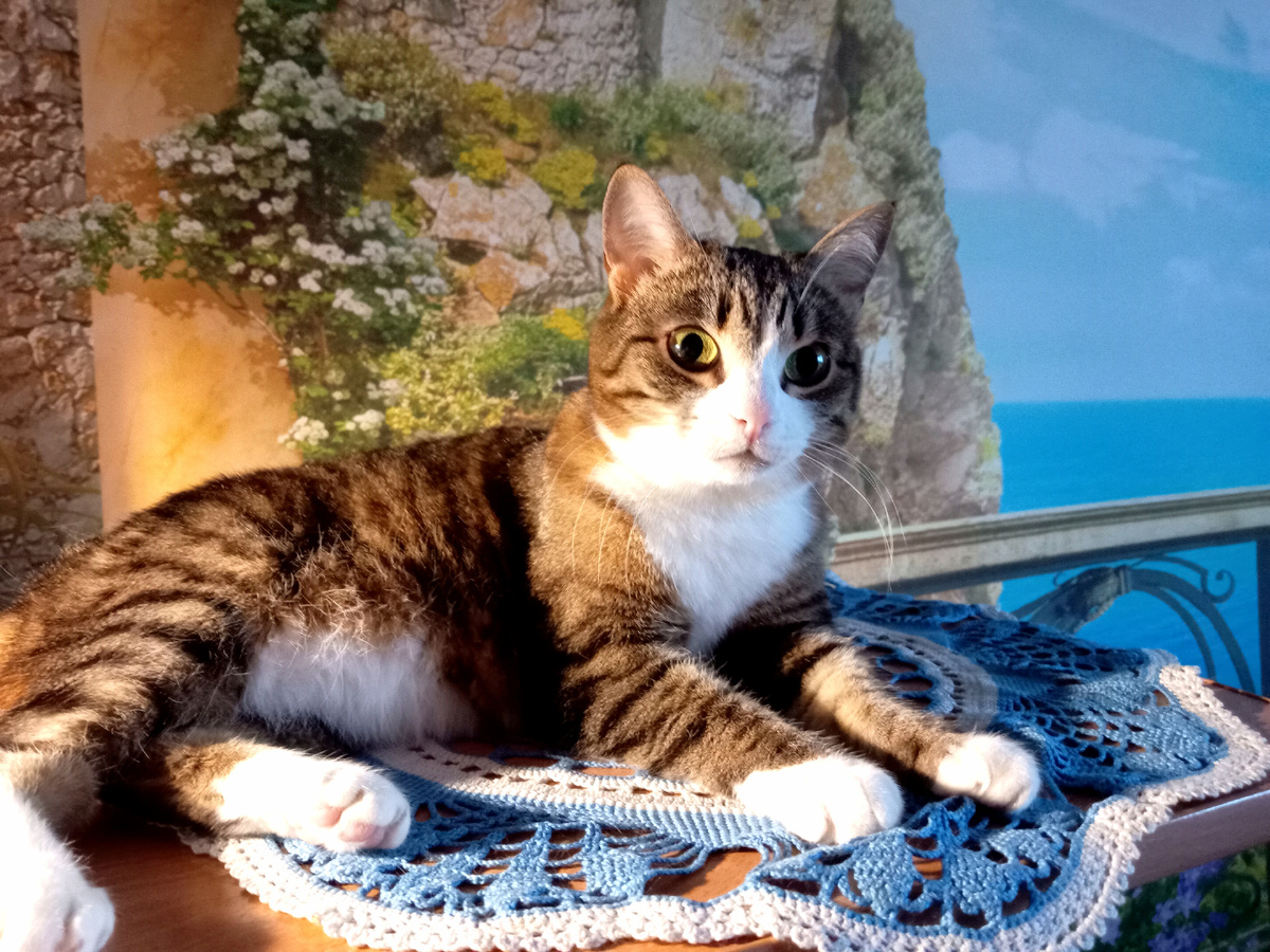 Фото автора. Варюта и салфетка. 