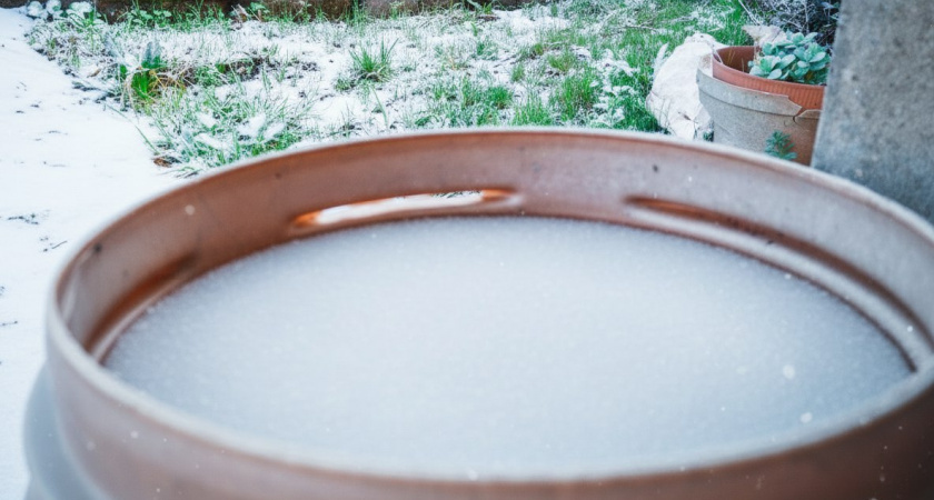    нейросеть Midjourney Freepik.com