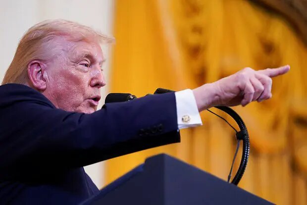    Фото: lenta.ru Полина Белоусова