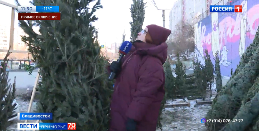    Источник фото: