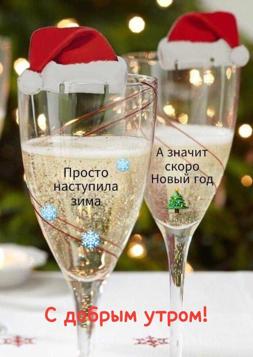 Фото из открытых источников.