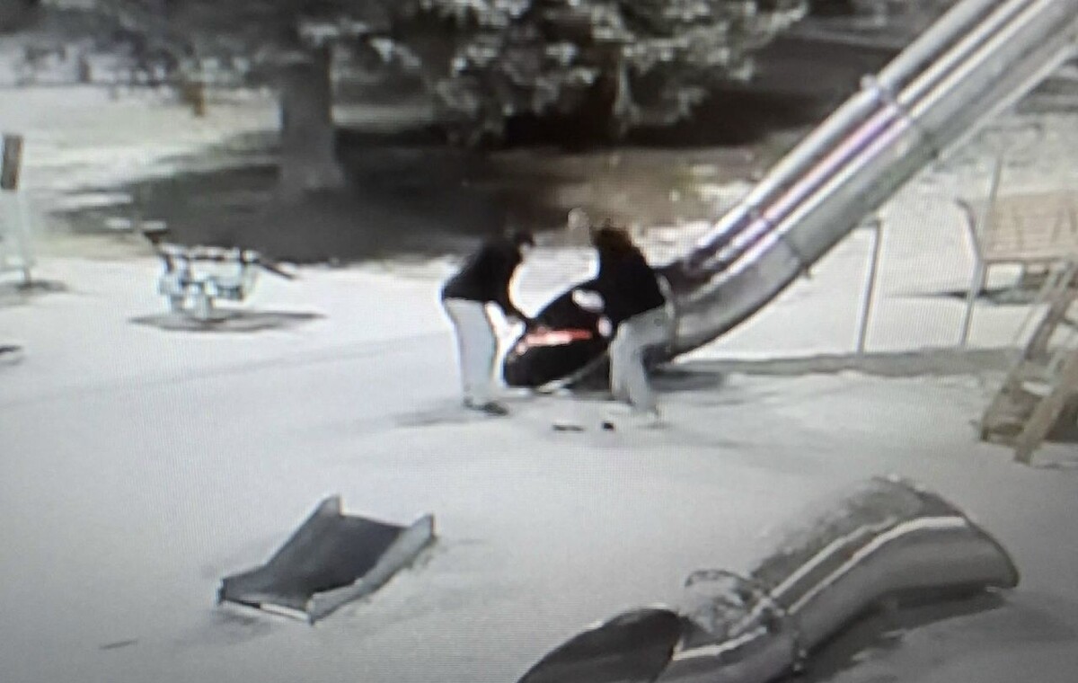    фото: © скриншот видео