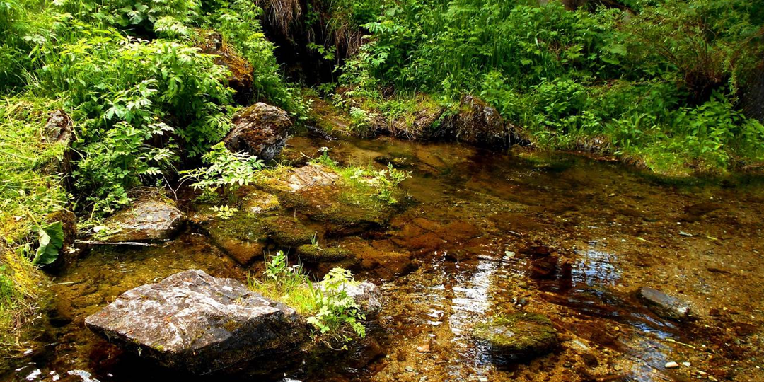 Скопление самородного золота у валунов, на расширениях и поворотах ручья!