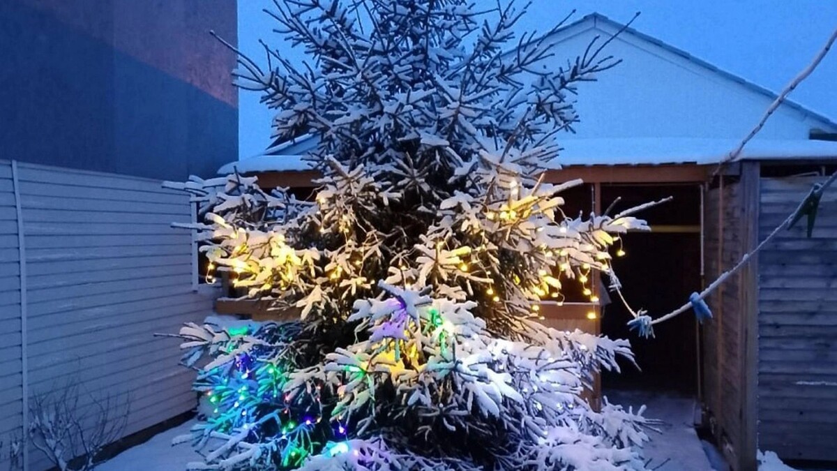     Источник: 56orb.ru