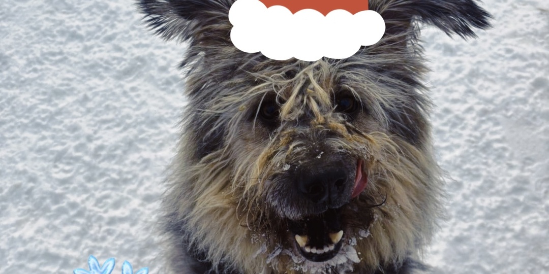 Новогодний марафон добра