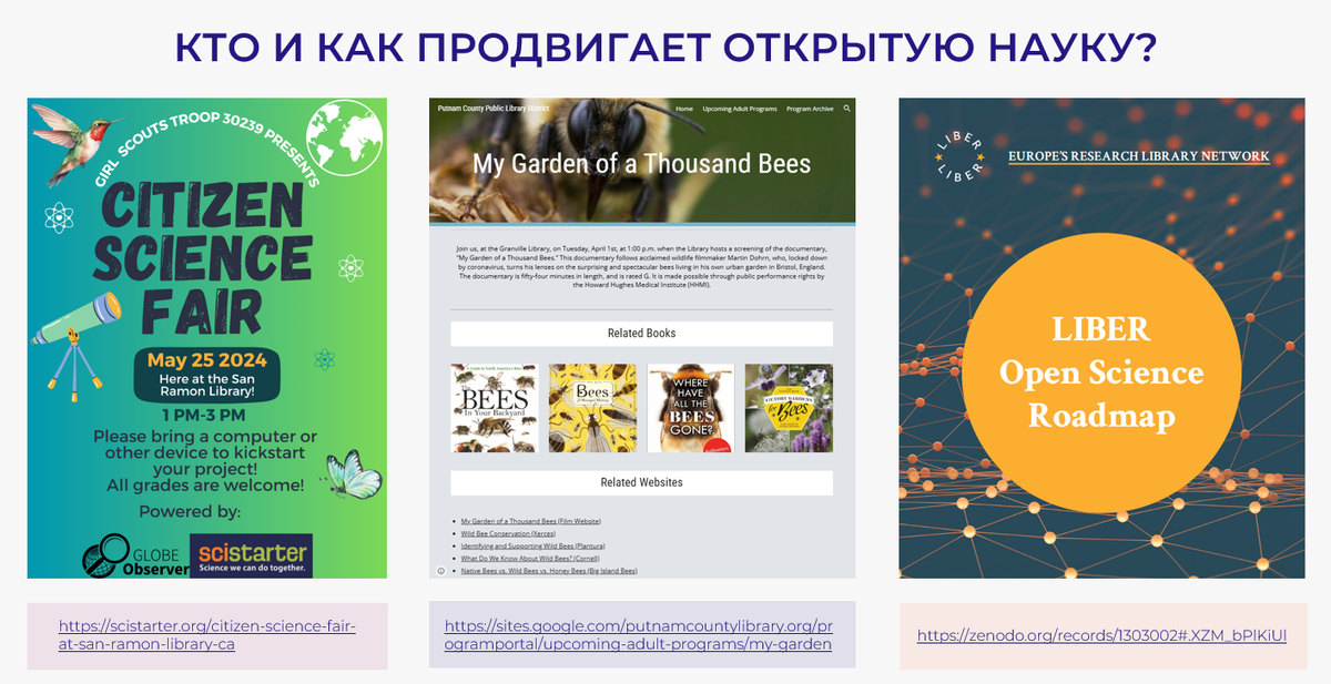 Слайд из доклада Рыхторова, А. Е. Библиотекарь-популяризатор открытой науки: обучение в рамках дополнительного профессионального образования / А. Е. Рыхторова // Непрерывное библиотечно-информационное образование : 19 Международная научно-методическая конференция памяти В. А. Минкиной (Санкт-Петербург, 20-21 марта 2025 г.). — Санкт-Петербург, 2025.