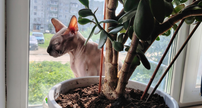    фото из архива редакции