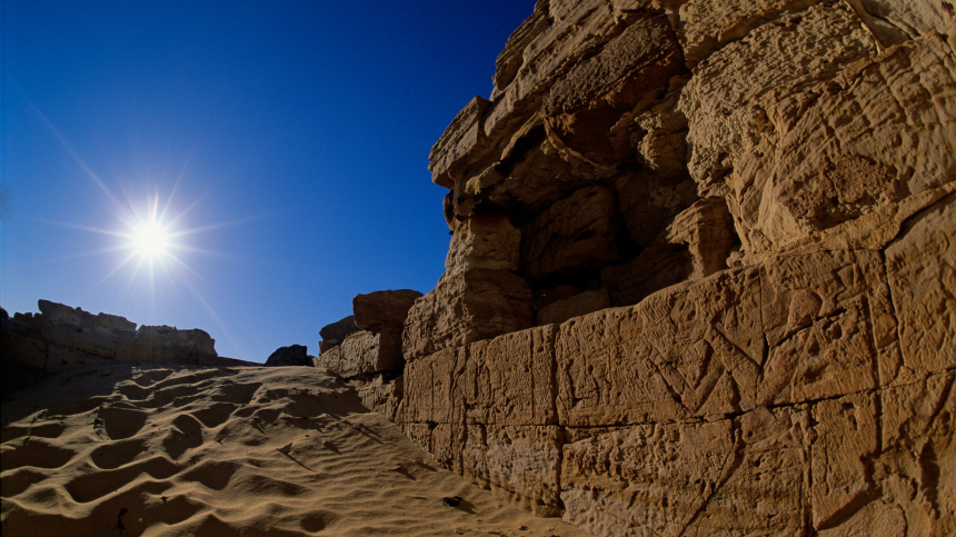    Фото: www.globallookpress.com/ Kenneth Garrett; 5-tv.ru