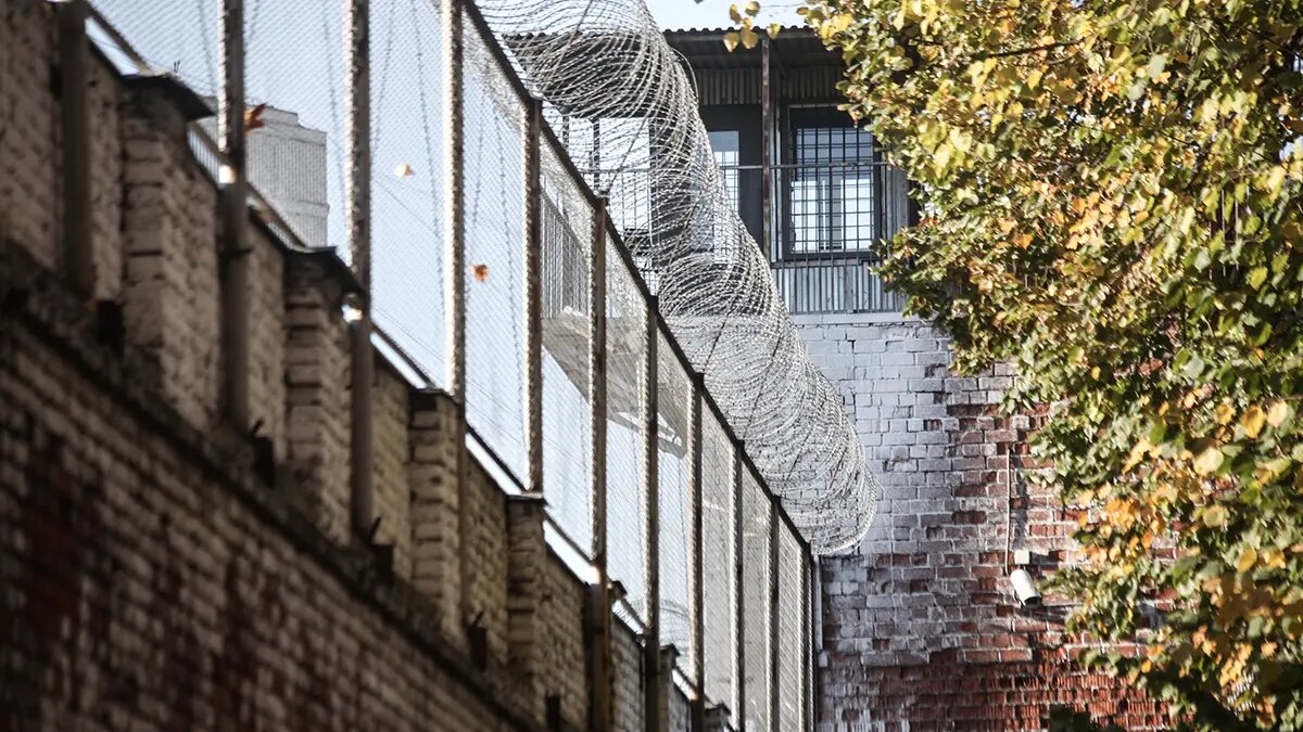    Фото: vm.ru Павел Евсеев