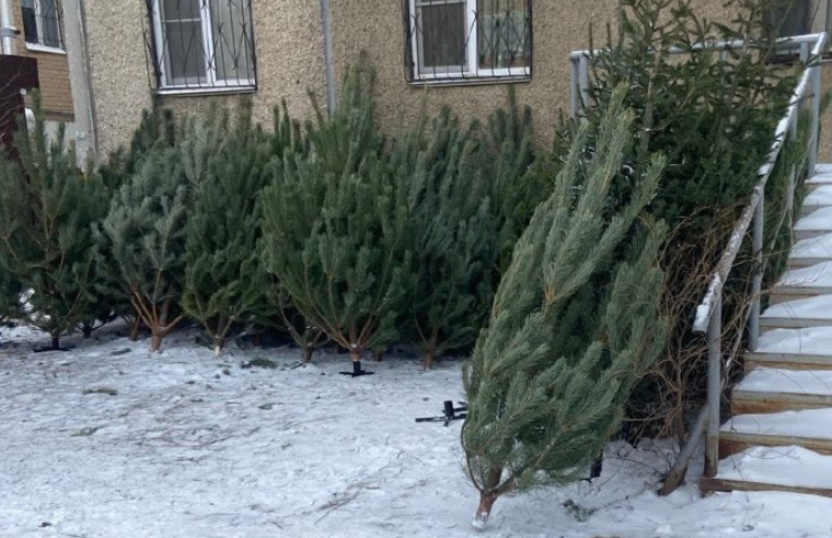 Фото: пресс-служба ГУ МВД России по Челябинской области