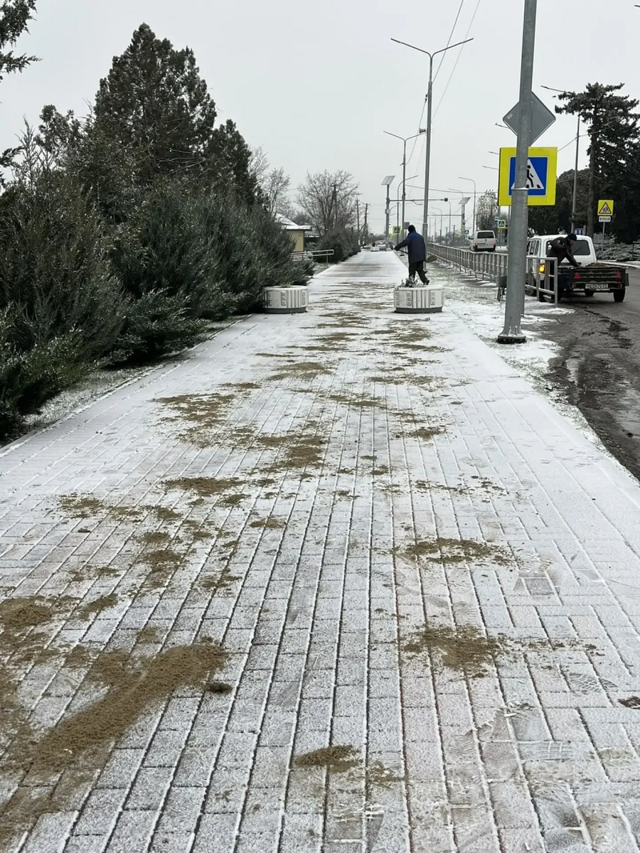 Утренний Кропоткин 