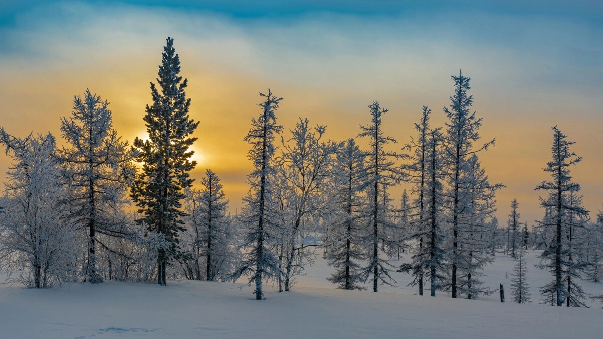    Фото: Vladimir Endovitskiy/Shutterstock/Fotodom