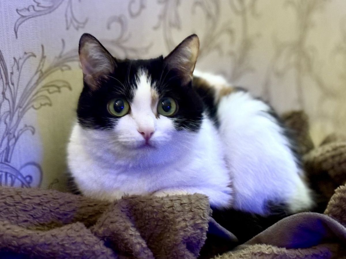    Фото: REGIONS/Полина Крачун