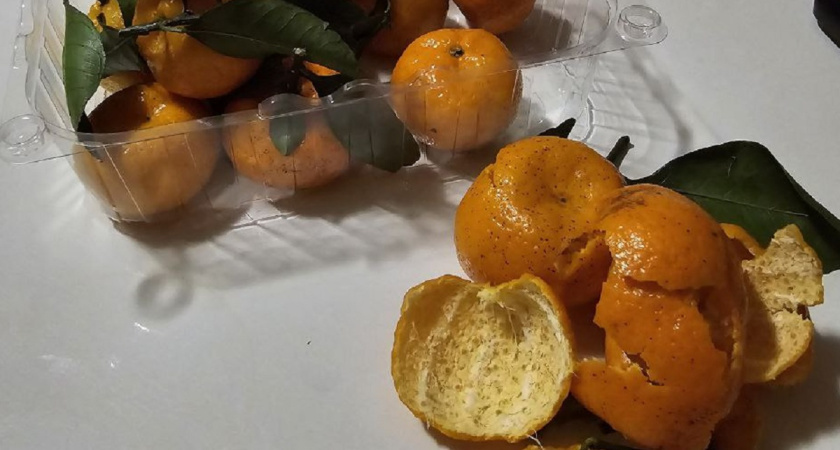    Фото Анастасии Дмитриевой